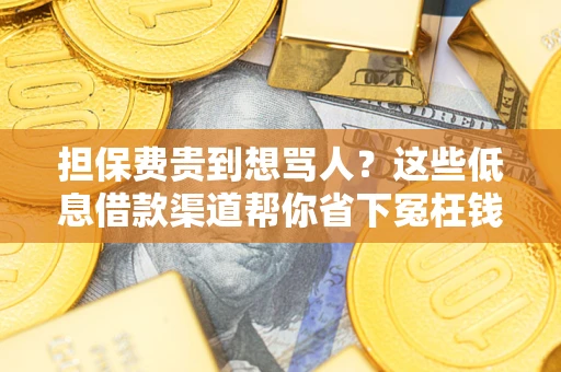 济南担保费贵到想骂人？这些低息借款渠道帮你省下冤枉钱