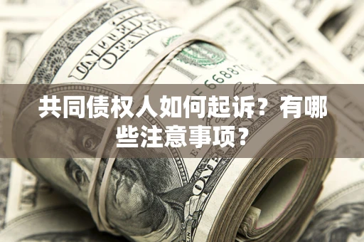 济南共同债权人如何起诉？有哪些注意事项？